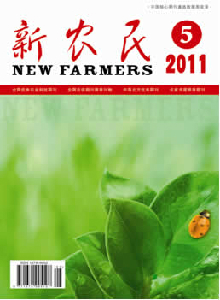 新農民·上半月雜志