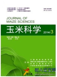 玉米科學