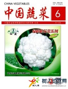 中國蔬菜