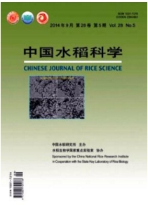 中國(guó)水稻科學(xué)