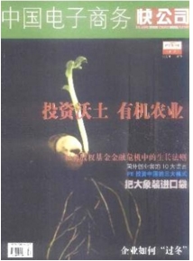 中國電子商務(wù)