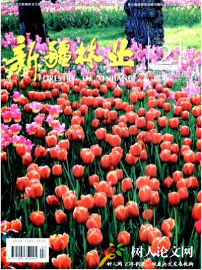 新疆林業