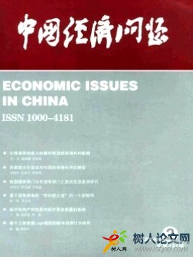 中國經(jīng)濟問題