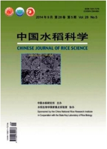 中國水稻科學(xué)
