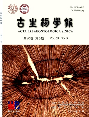 基于兩級分段式算法的卷積神經網絡的浮游有孔蟲自動鑒定