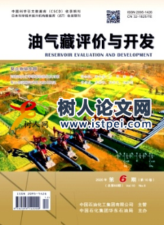 油氣藏評價與開發