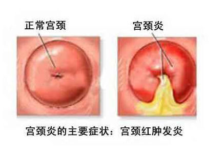 醫(yī)學論文刊發(fā)