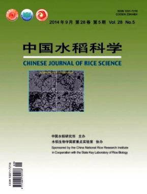 中國水稻科學