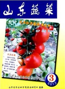 山東蔬菜