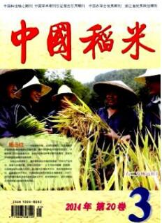 中國稻米