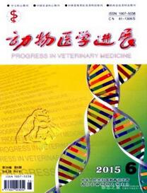 動物醫學進展