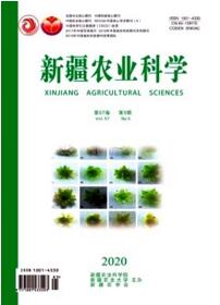新疆農(nóng)業(yè)科學