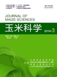 玉米科學(xué)
