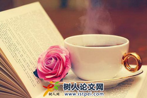 環境工程專業高級職稱評審材料