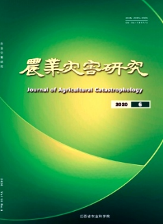 牛骨折的發生及防治措施