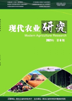 義務教育均衡視野下鄉(xiāng)村小學語文教師隊伍建設對策